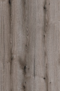 эвок окаменелый