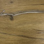 Eterno Kompakt S. PROVANZA (KSD-9755) 3050х650х12мм 