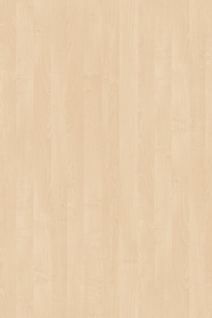 Кромка Береза  0,4*19мм, 1715 фото в интернет-магазине МКФ