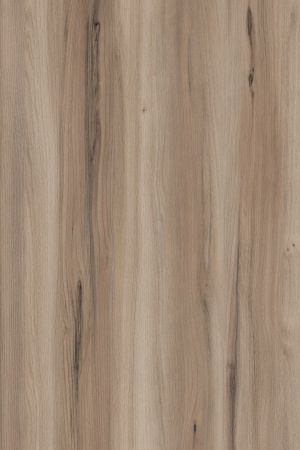 Кромка Дуб (Вяз) Аврора Натуральный  1*19мм, К363 фото в интернет-магазине МКФ