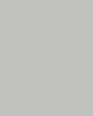 Кромка Серый Манхэттен  1*19мм, 0540/239 фото в интернет-магазине МКФ