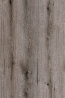 эвок окаменелый