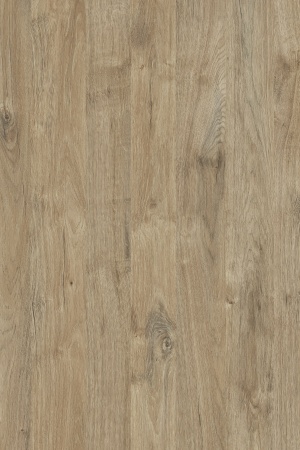 Кромка Дуб Харбор золотой  0,4*19мм, К361 фото в интернет-магазине МКФ