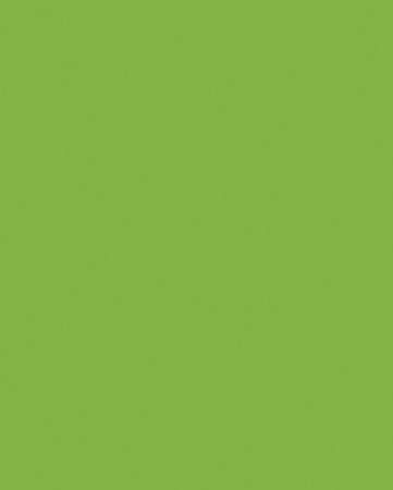 Кромка Зеленая Мамба  1*19мм, 237 (7190) фото в интернет-магазине МКФ