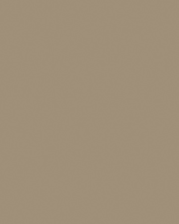 ЛДСП  Капучино  С339 SU  2800*2070*16  Ultradecor фото в интернет-магазине МКФ