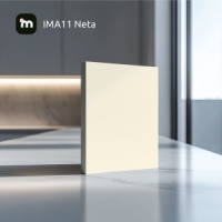 Neta